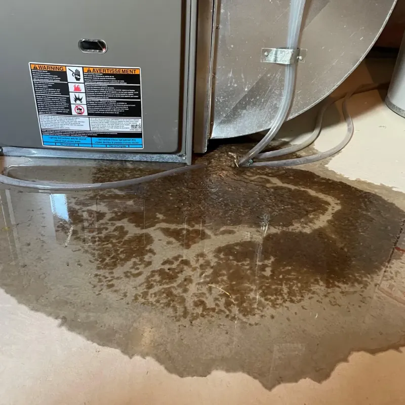 Appliance Leak Cleanup in Volcano, HI