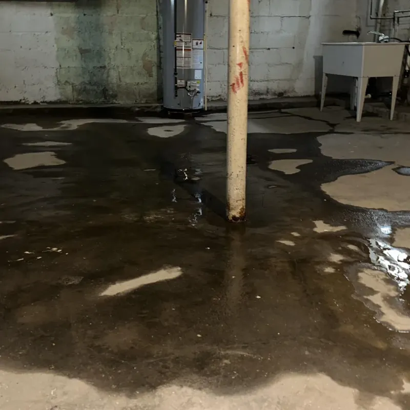 Emergency Water Extraction And Removal in Volcano, HI